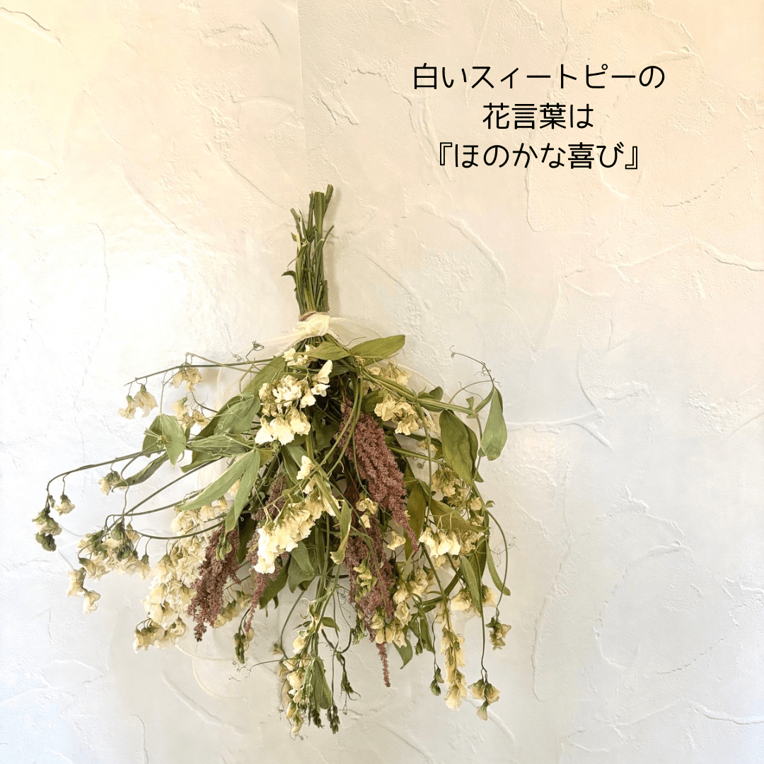 スィートピーのドライフラワースワッグ | 2枚目